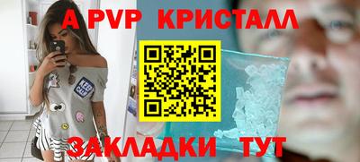 спиды Новодвинск