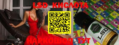 спиды Новодвинск