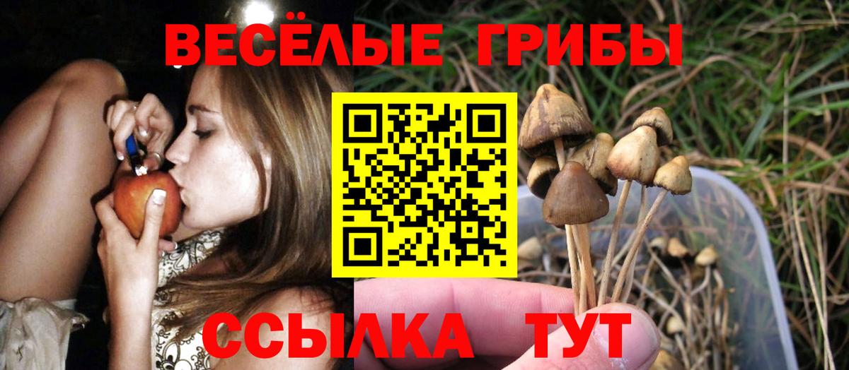 Псилоцибиновые грибы мицелий  Вход с VPN  Бийск  Галлюциногенные грибы MAGIC MUSHROOMS 