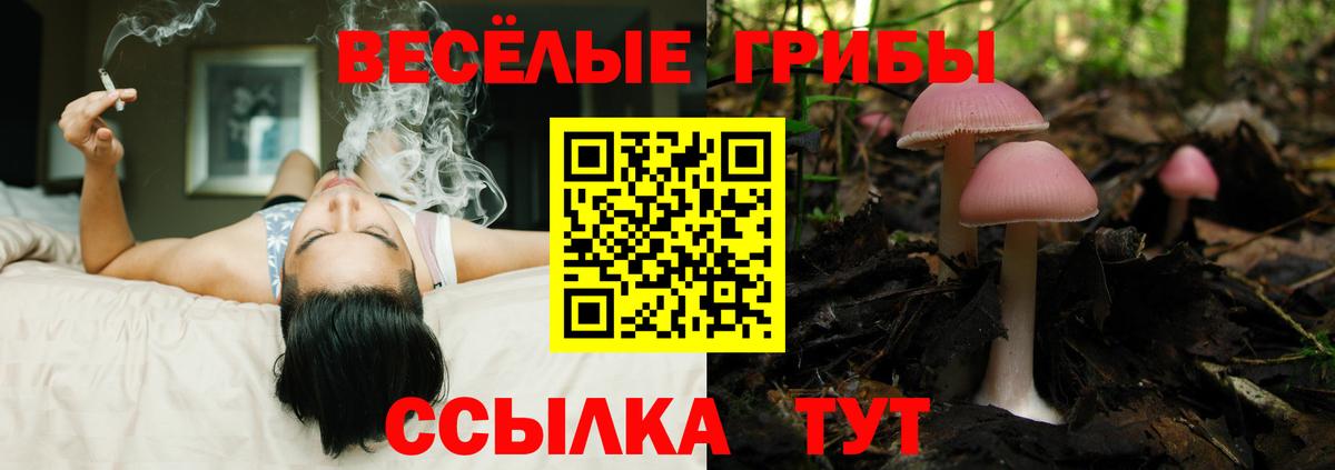 Галлюциногенные грибы мухоморы Бийск